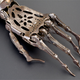 Illustration for article titled Victorian Prosthetic Arm—No, No, No, No, No
